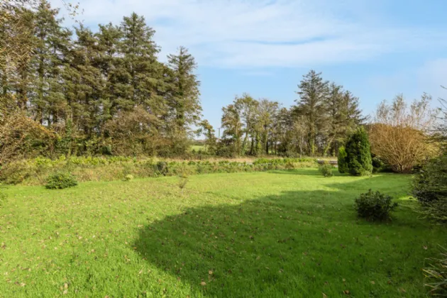 Photo of Forest View, Poulmarl, Taghmon, Co Wexford, Y35P089