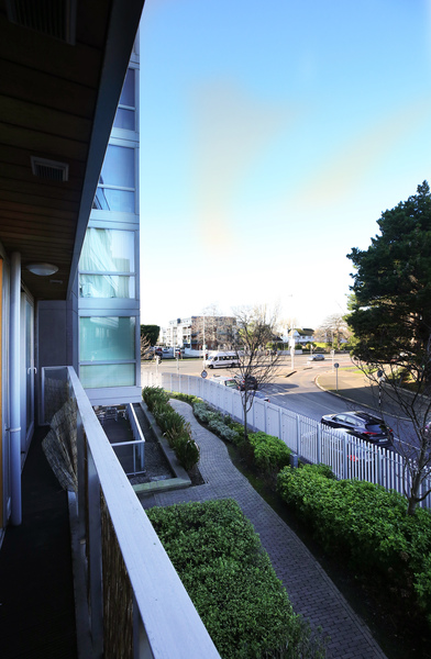 Photo of Booterstown Wood, Booterstown, Co. Dublin, A94 RK83