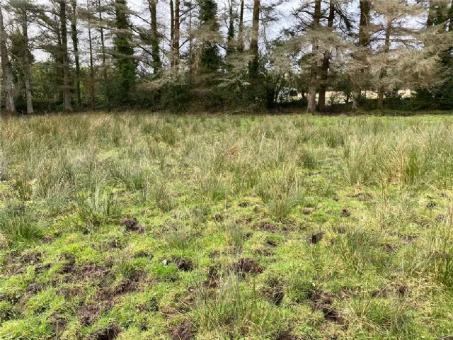 Photo of Calfmount, Headford, Killarney, Co. Kerry, V93V0Y8