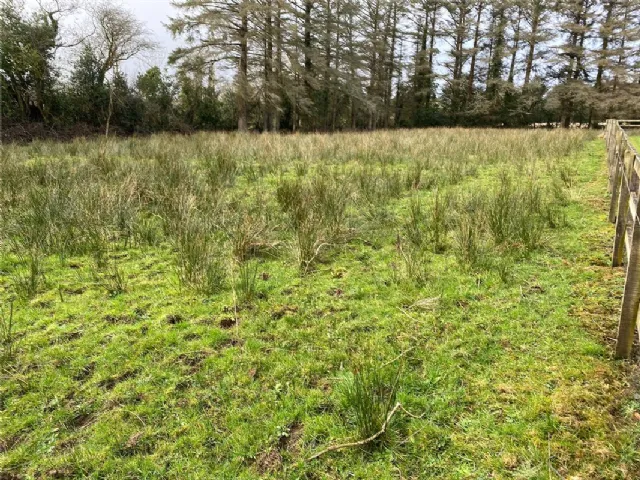 Photo of Calfmount, Headford, Killarney, Co. Kerry, V93V0Y8