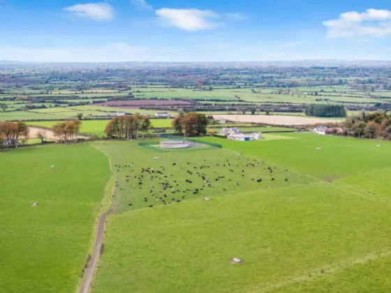 Photo of Eyrecourt Demesne (The Entire), On Approx. 56.27 Hec (138.99 Acres), Eyrecourt, County Galway, H53HC85