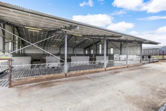 Photo of Eyrecourt Demesne (The Entire), On Approx. 56.27 Hec (138.99 Acres), Eyrecourt, County Galway, H53HC85