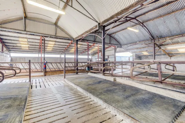 Photo of Eyrecourt Demesne (The Entire), On Approx. 56.27 Hec (138.99 Acres), Eyrecourt, County Galway, H53HC85