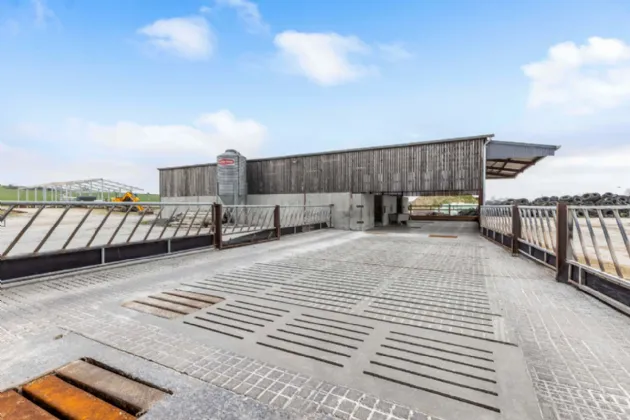 Photo of Eyrecourt Demesne (The Entire), On Approx. 56.27 Hec (138.99 Acres), Eyrecourt, County Galway, H53HC85