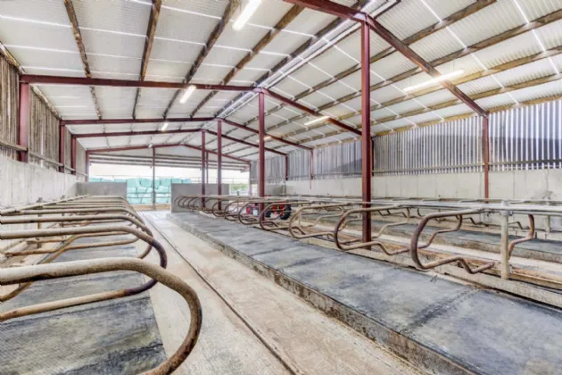 Photo of Eyrecourt Demesne (The Entire), On Approx. 56.27 Hec (138.99 Acres), Eyrecourt, County Galway, H53HC85