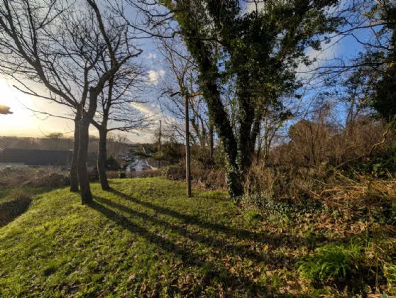 Photo of Mulberry Lodge, Newport Road, Westport, Co Mayo, F28 RF64