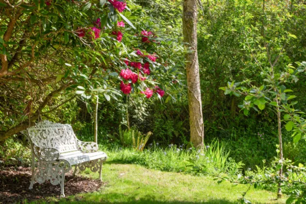 Photo of Moon River Cottage, Mill Road, Ballinacarrig Lower, Ballinaclash, A67DK31