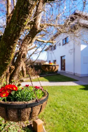 Photo of Dungory East, Kinvara, Co. Galway, H91 WEX5