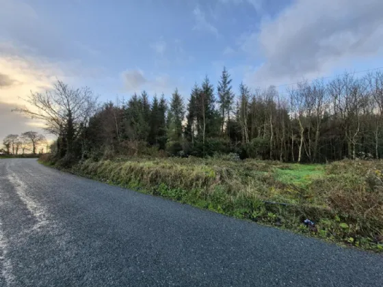 Photo of 27.13 Acres Of Forestry, Stripe North, Milltown, Tuam, Co. Galway