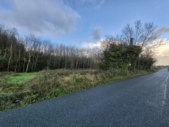 Photo of 27.13 Acres Of Forestry, Stripe North, Milltown, Tuam, Co. Galway
