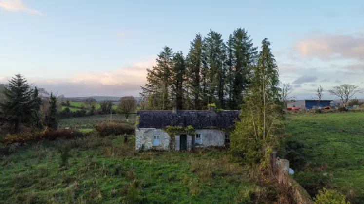 Photo of Larkfield, Granard, Co. Longford, N39 N9R2