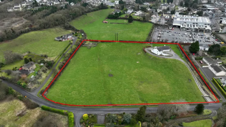 Photo of New Road, Roscrea, Co. Tipperary, E53 NX27