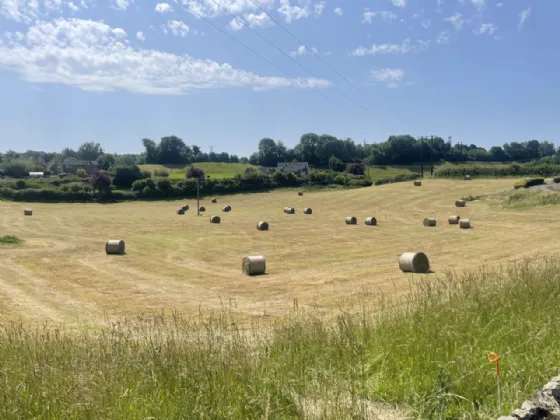 Photo of New Road, Roscrea, Co. Tipperary, E53 NX27