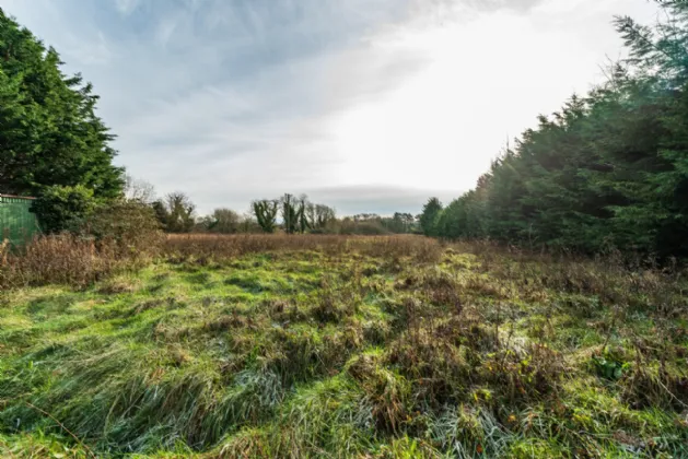 Photo of Mahers Well Road, Allenwood, Co. Kildare, W91 HR7V