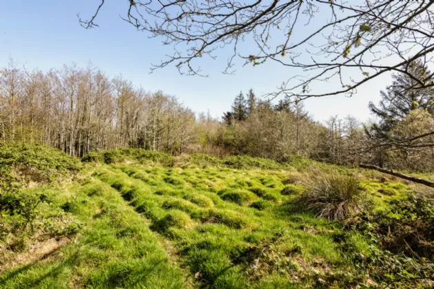 Photo of Lecarrow, Ballinafad, Co. Sligo, F52 T651