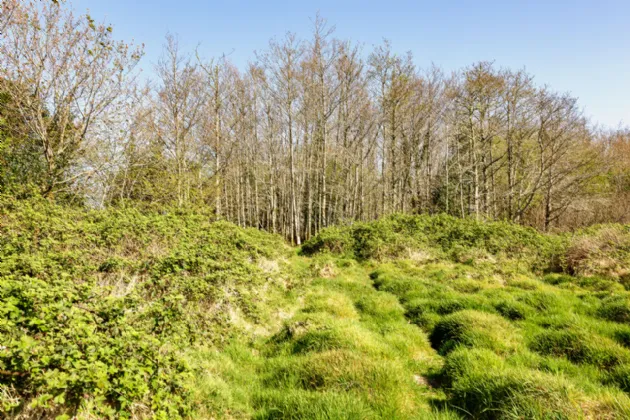 Photo of Lecarrow, Ballinafad, Co. Sligo, F52 T651