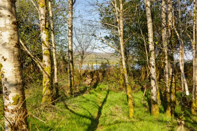 Photo of Lecarrow, Ballinafad, Co. Sligo, F52 T651