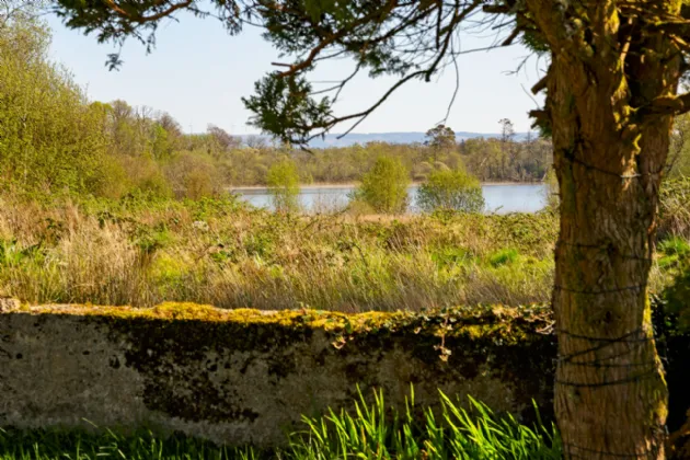 Photo of Lecarrow, Ballinafad, Co. Sligo, F52 T651