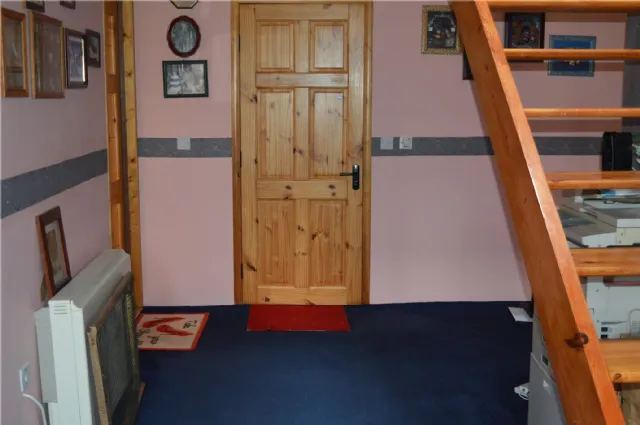 Photo of Holly Ash, Derrycooley, Rahan, Co Offaly, R35N840