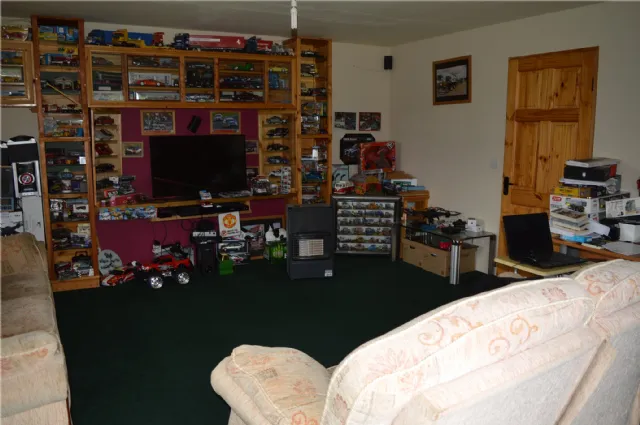 Photo of Holly Ash, Derrycooley, Rahan, Co Offaly, R35N840