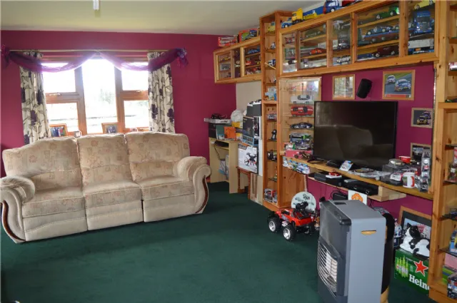 Photo of Holly Ash, Derrycooley, Rahan, Co Offaly, R35N840