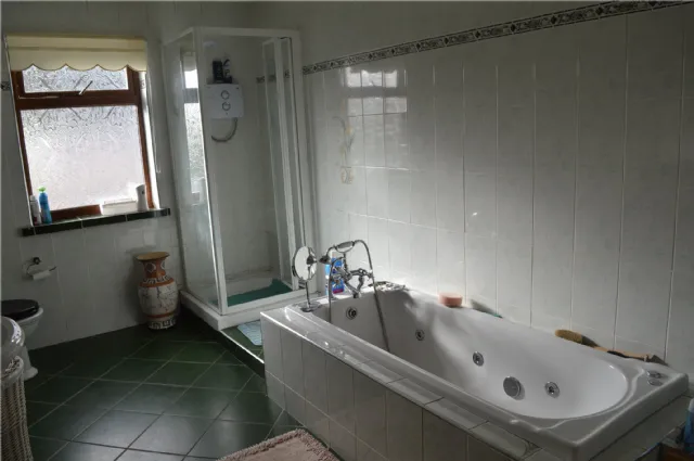 Photo of Holly Ash, Derrycooley, Rahan, Co Offaly, R35N840