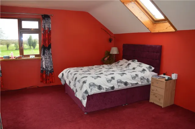 Photo of Holly Ash, Derrycooley, Rahan, Co Offaly, R35N840