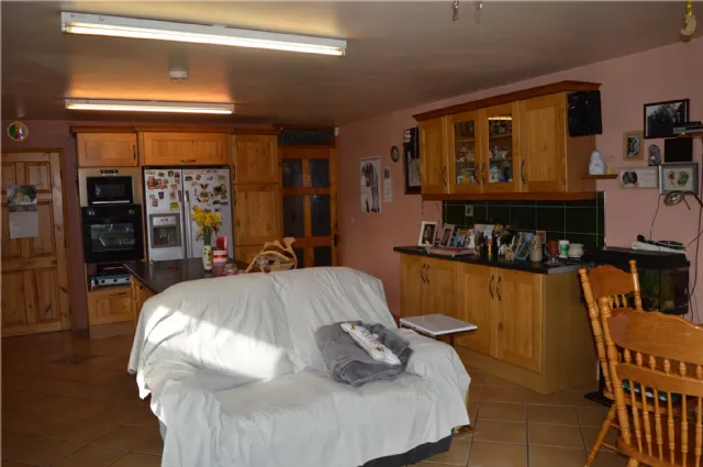 Photo of Holly Ash, Derrycooley, Rahan, Co Offaly, R35N840