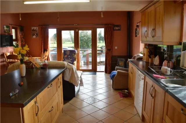 Photo of Holly Ash, Derrycooley, Rahan, Co Offaly, R35N840