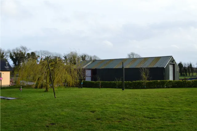 Photo of Holly Ash, Derrycooley, Rahan, Co Offaly, R35N840