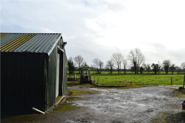 Photo of Holly Ash, Derrycooley, Rahan, Co Offaly, R35N840