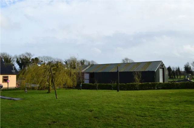 Photo of Holly Ash, Derrycooley, Rahan, Co Offaly, R35N840