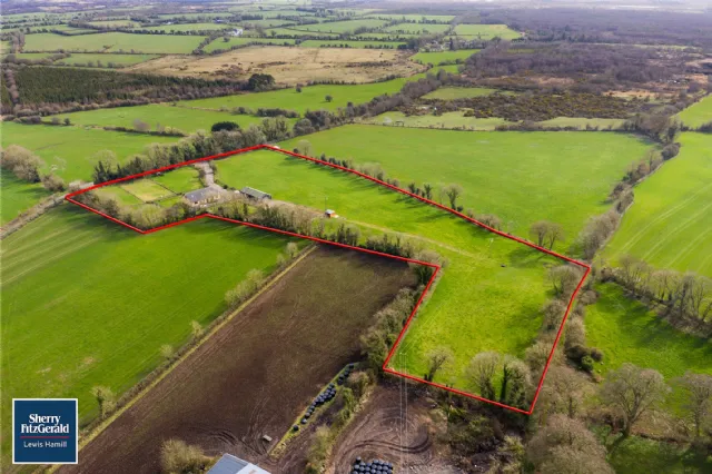 Photo of Holly Ash, Derrycooley, Rahan, Co Offaly, R35N840