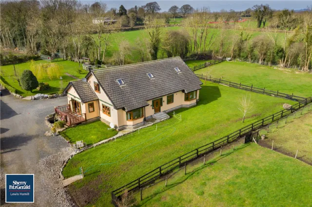 Photo of Holly Ash, Derrycooley, Rahan, Co Offaly, R35N840