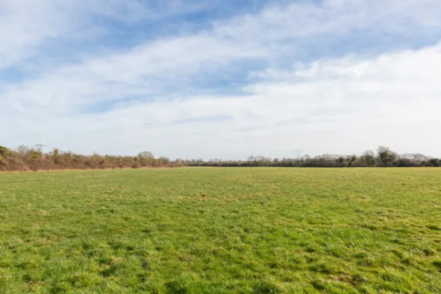 Photo of Laragh Demesne, Maynooth, Co Kildare
