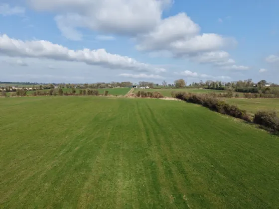 Photo of Rathniska, Kilskyre, Kells, Co Meath, A82R720