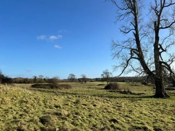 Photo of Creggan Upper, Dublin Road, Athlone, Co. Westmeath, N37 FW56