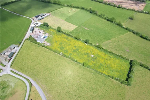 Photo of Cullahill, Knock, Roscrea, Co Tipperary, E53 H500