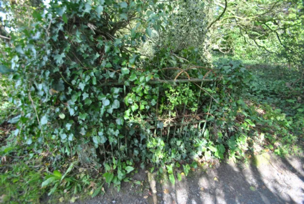 Photo of Eglish Villa On Approx. 27 Acres, Five Alley, Birr, Co. Offaly, R42 YD35