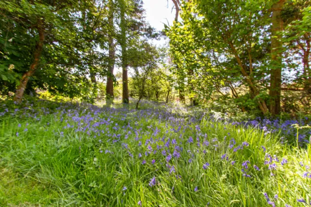 Photo of Cappagh House, Cappaghavukee, Waterfall, Castletown Berehaven, Co Cork, P75 TX60