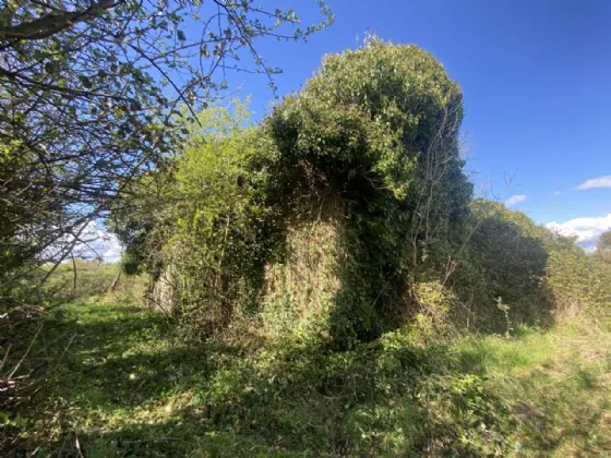 Photo of Dunganstown, Delvin, Co. Westmeath