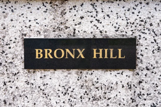 Photo of Bronx Hill, Curraghbeg, Ovens, Co Cork, P31C526