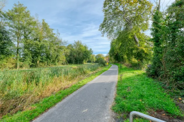 Photo of 3 Sycamore Drive, Prospect Wood, Longford, N39 A5V6