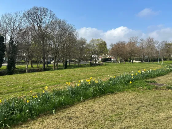 Photo of 18 Glen Lawn Drive, The Park, Cabinteely, Dublin 18, D18E429