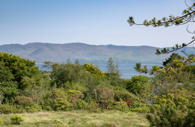 Photo of Oysterbed Road, Sneem, Co. Kerry, V93 PR94