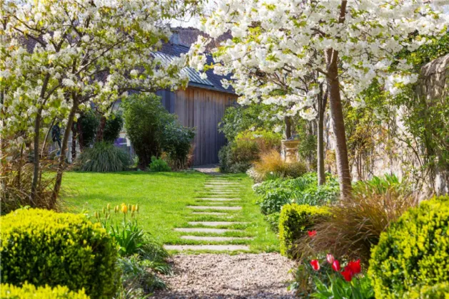 Photo of Lithgow, 12 Oakley Road, Ranelagh, Dublin 6, D06 H528