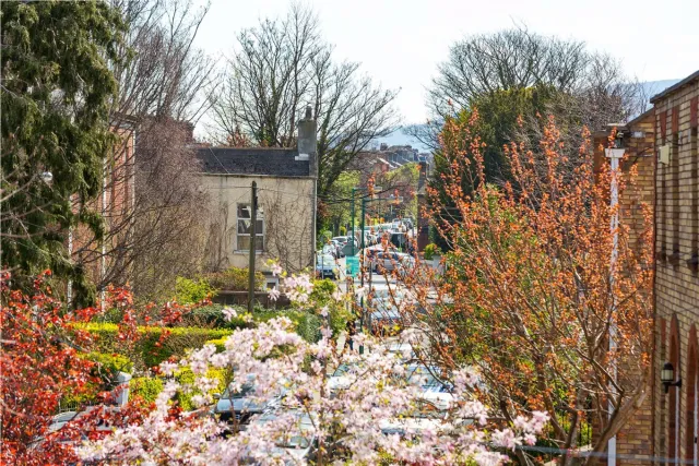 Photo of Lithgow, 12 Oakley Road, Ranelagh, Dublin 6, D06 H528