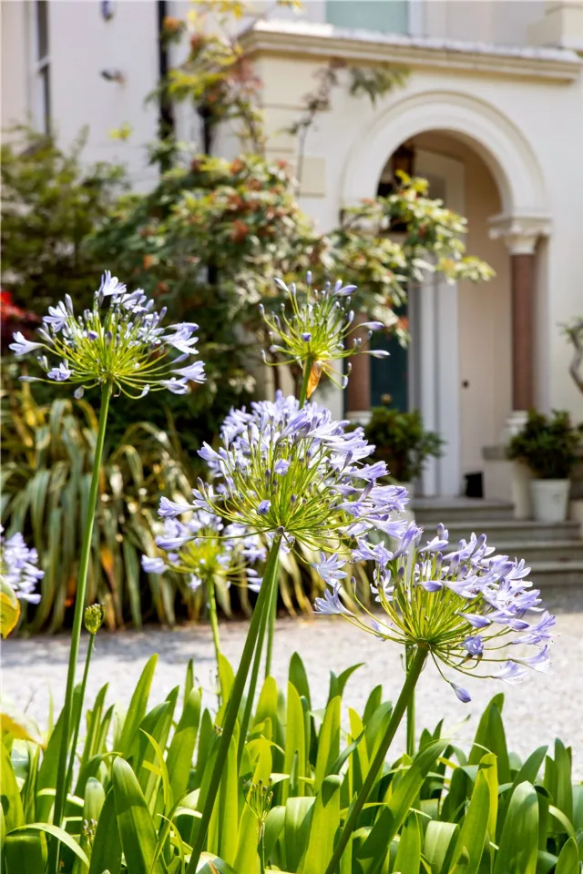 Photo of Annacreevy, Adelaide Road, Glenageary, Co.Dublin, A96 V5W7