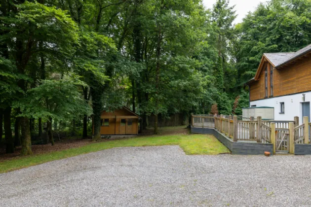 Photo of Sequoia, Killgibbon Wood, Bree, Enniscorthy, Co Wexford, Y21 DN79