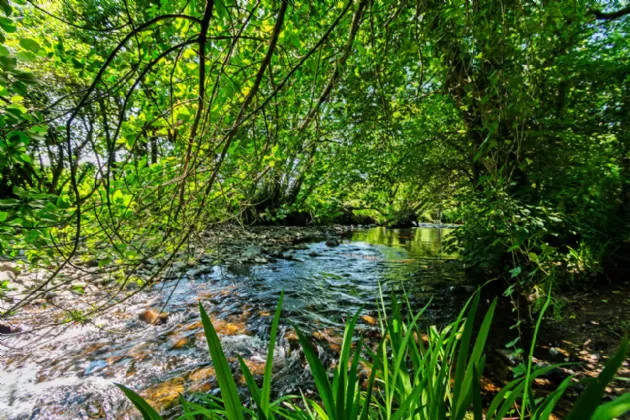 Photo of Knockane, Drimoleague, Co Cork, P47W351